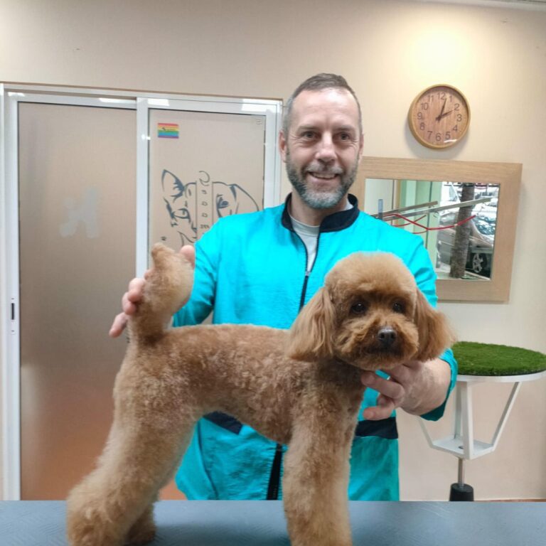Victor Alfayate-peluquero canino en Valencia