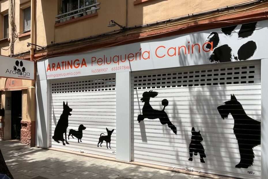 Peluquería para perros en Valencia