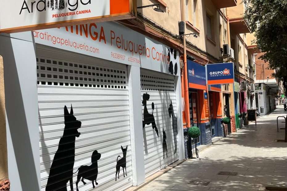 la mejore peluquería canina de Valencia