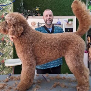 importancia de la peluquería canina para la salud de tu perro