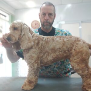 Baño y corte de pelo canino