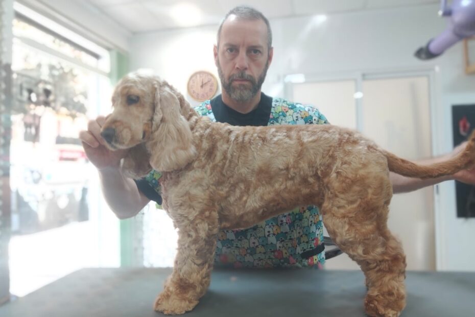 Baño y corte de pelo canino